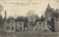 ruines du chateau du viviers